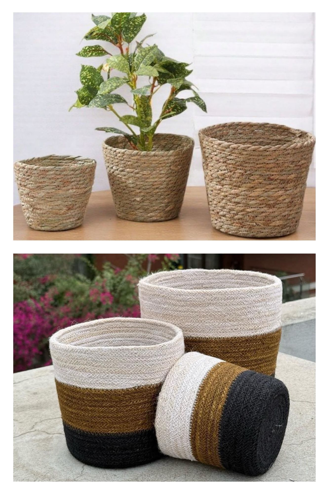 Seagrass and jute planters side by side