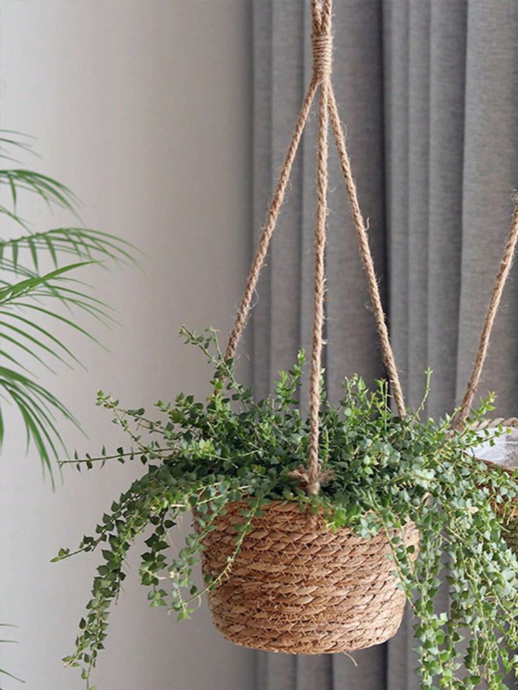 Seagrass planter basket