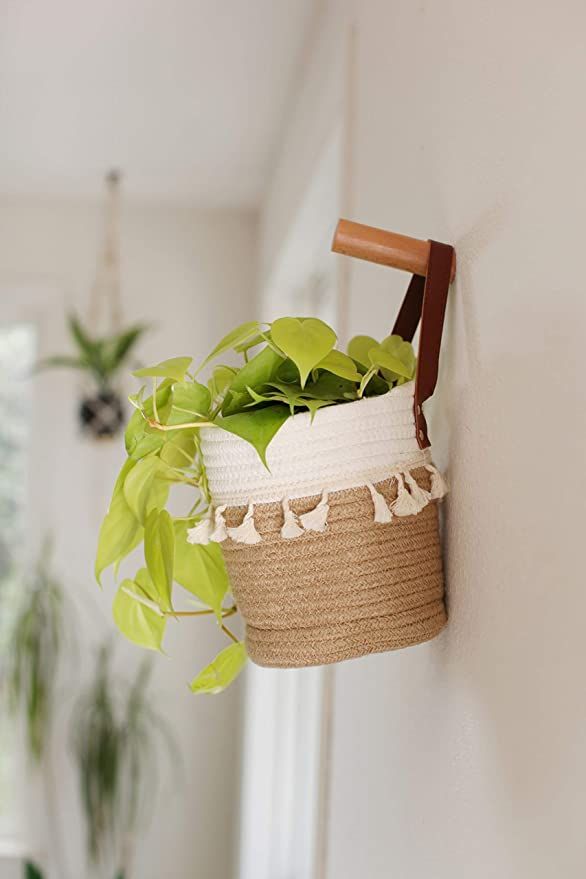 Side view of jute plant basket