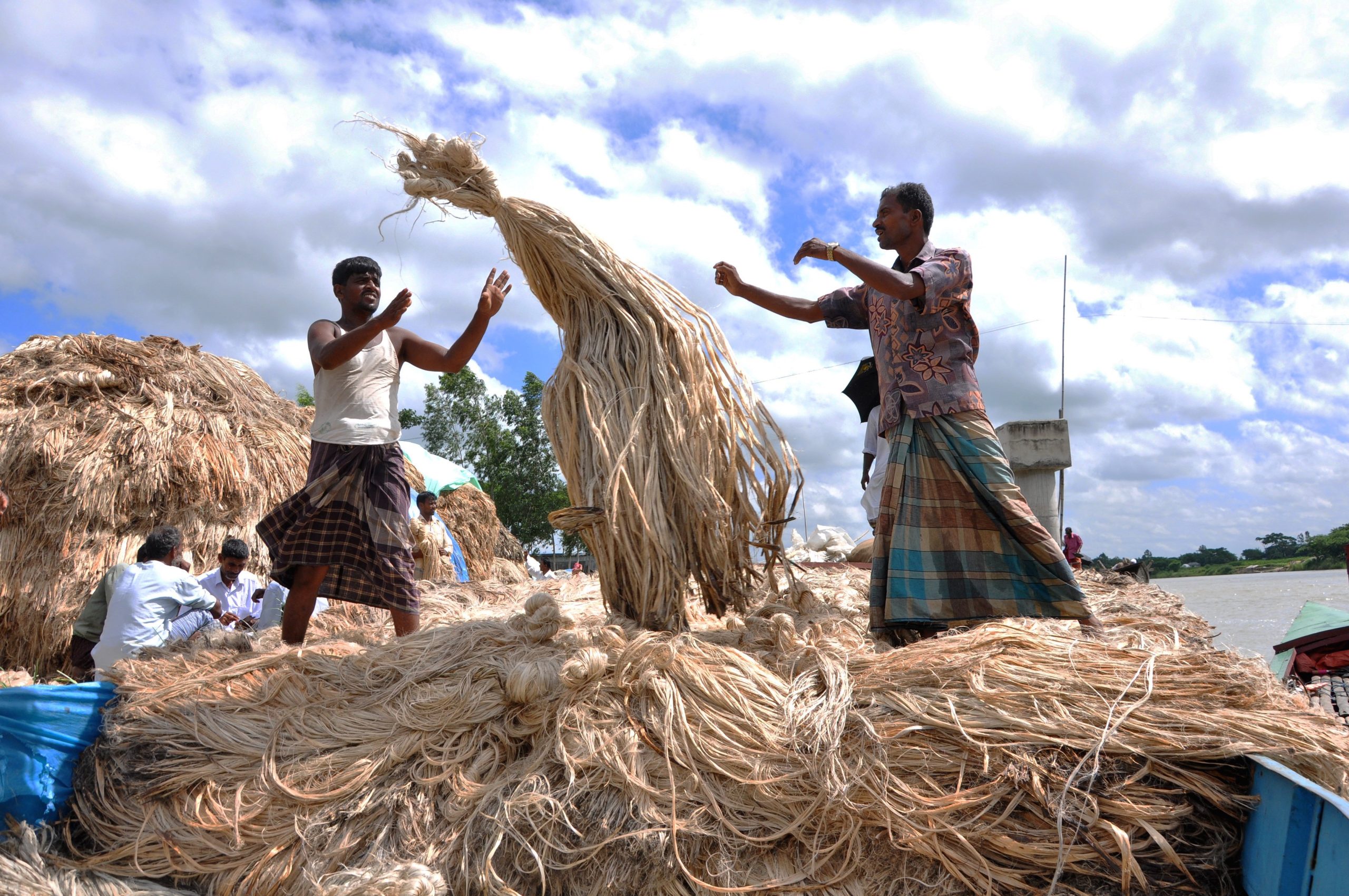 Raw Jute